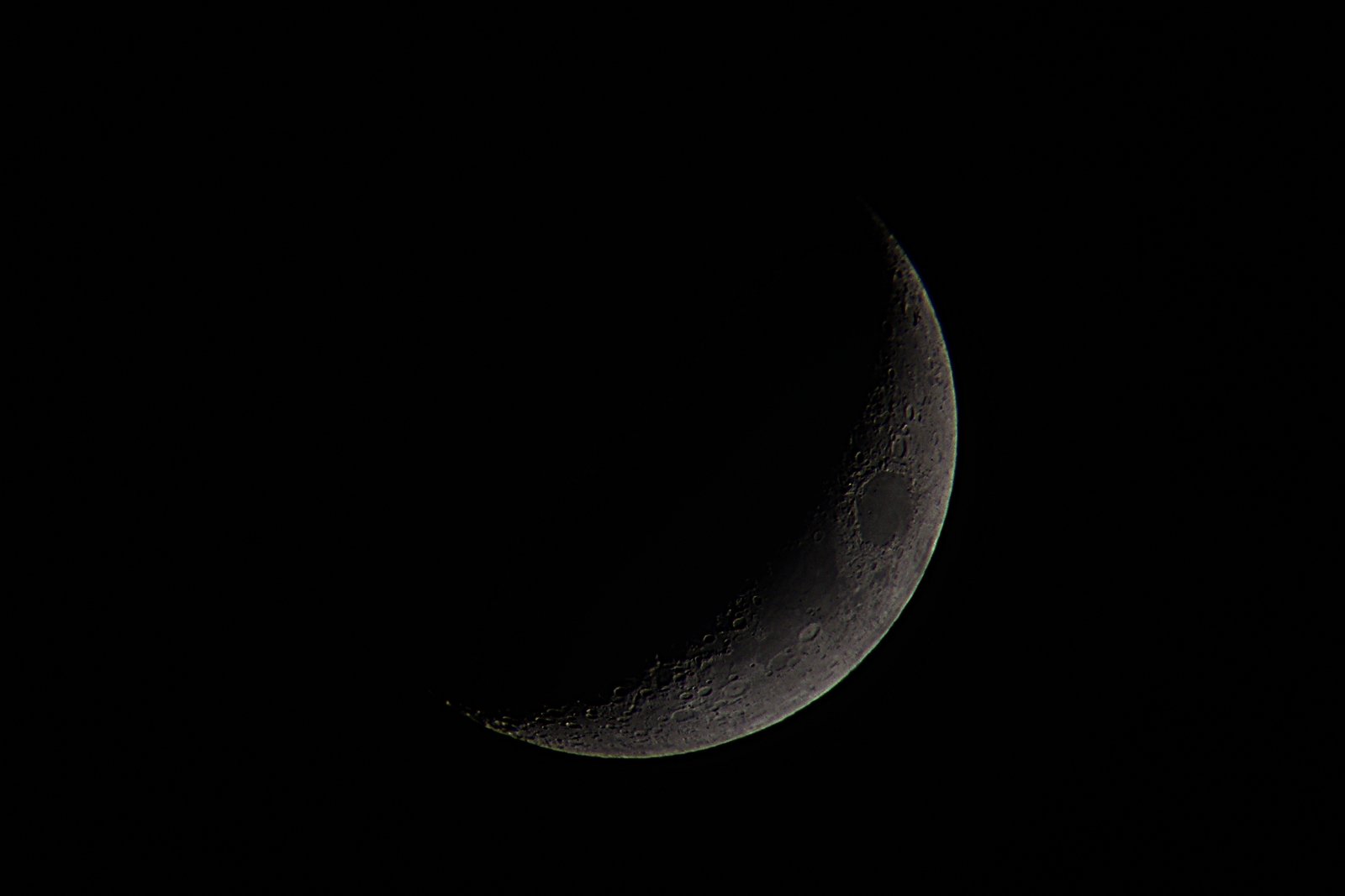 DSC01255.JPG