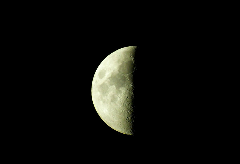 SL381148.JPG