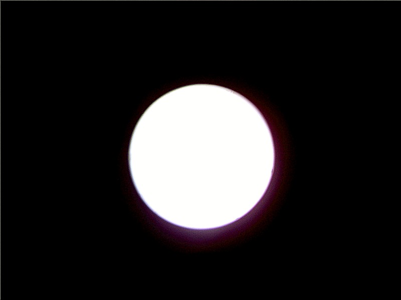 SDC10879_副本.jpg