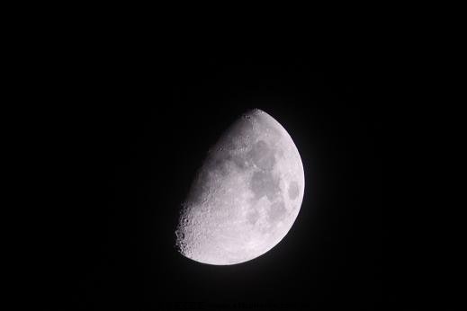 IMG_0004.JPG
