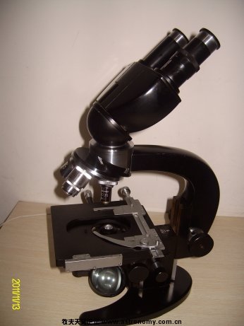 ALIM5724.jpg