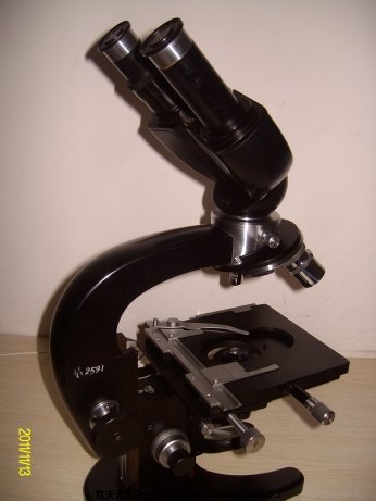 ALIM5725.jpg