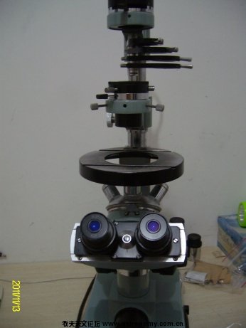 ALIM5781.jpg