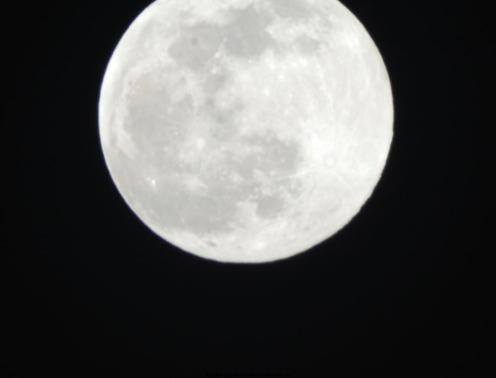 DSC_1715.JPG