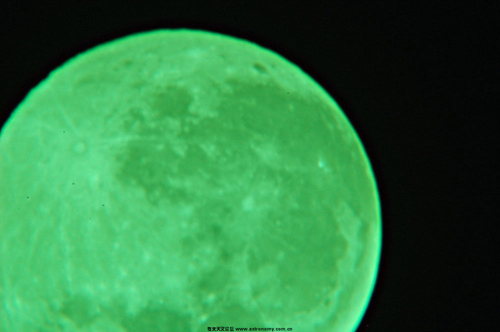DSC_1733.JPG