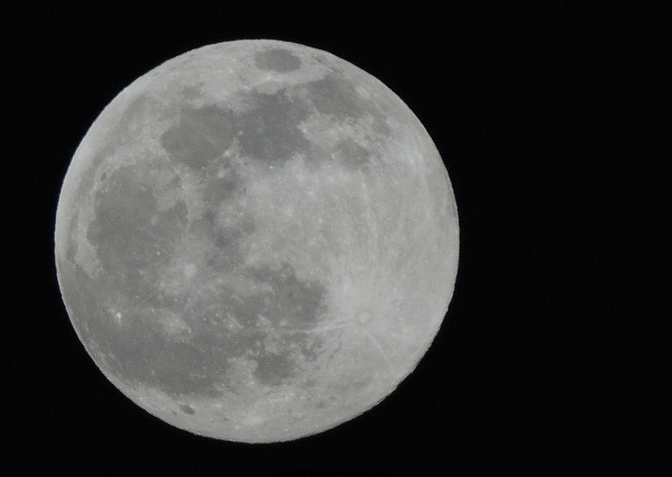 DSC_1722.jpg