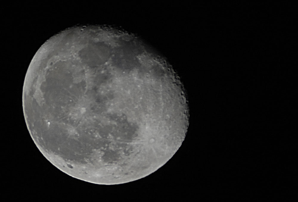 DSC_1833.jpg