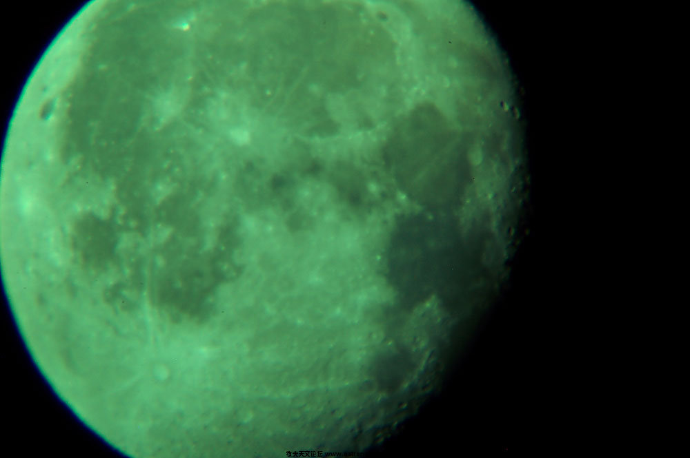 DSC_1809.jpg