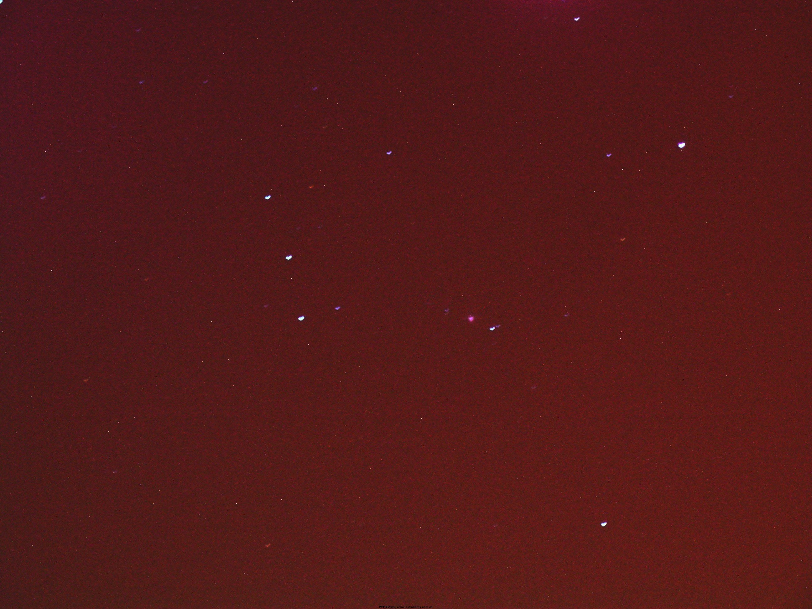 DSCN5913.jpg