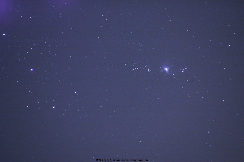 DSC_4517.jpg
