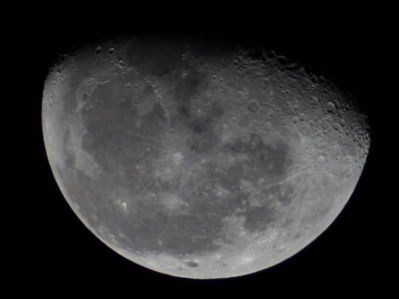 IMG_4286.jpg