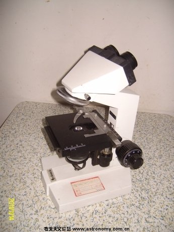 ALIM5825.jpg