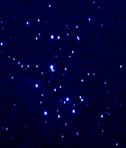 DSC_4557.jpg