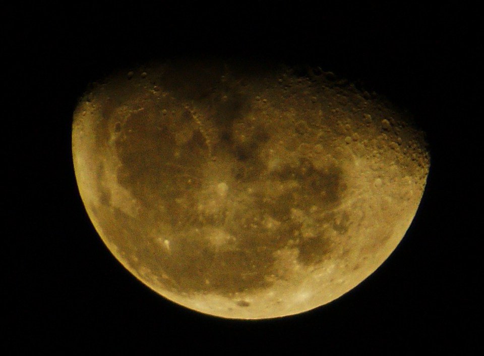 DSC01443_clear_s.JPG