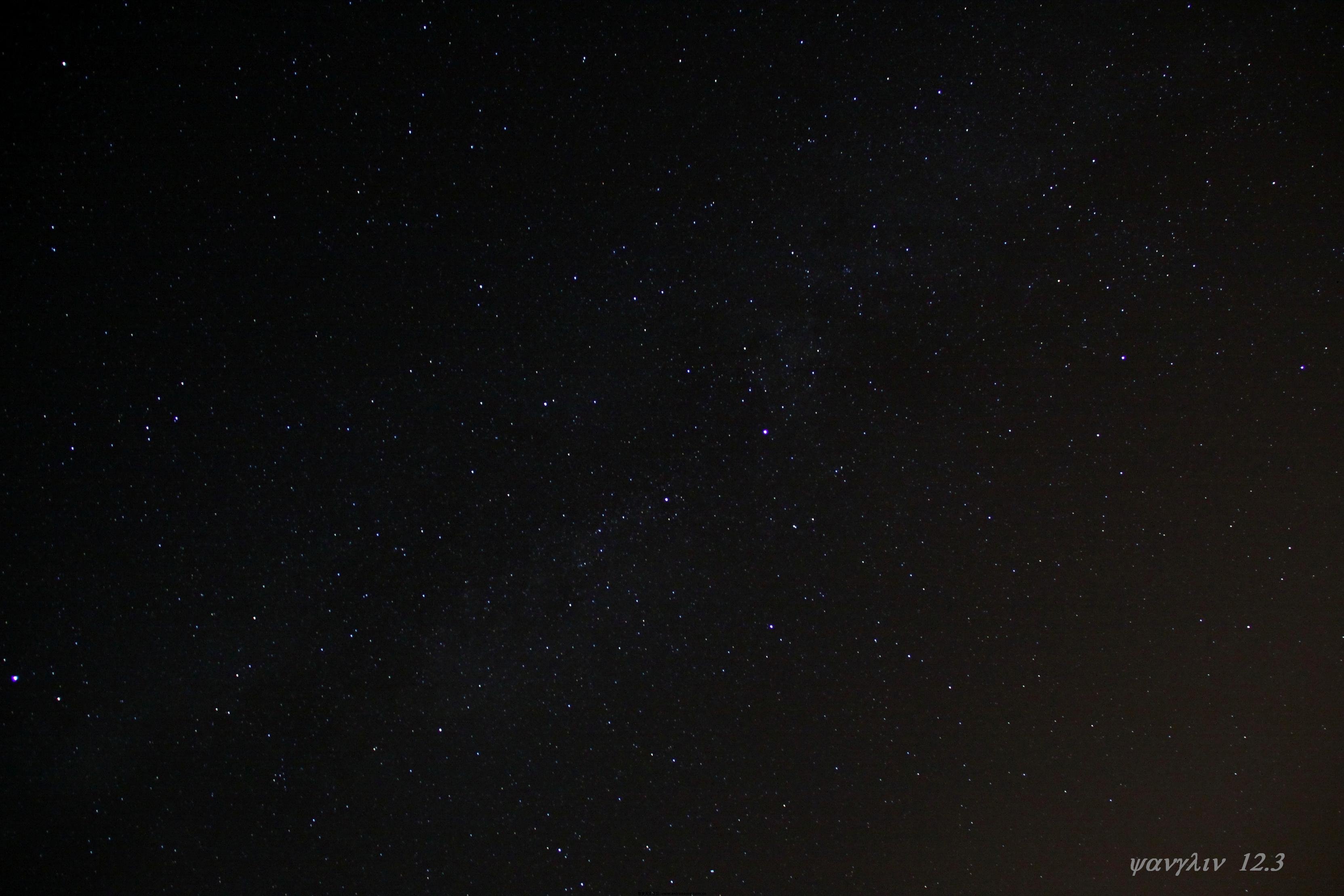 IMG_2555.JPG
