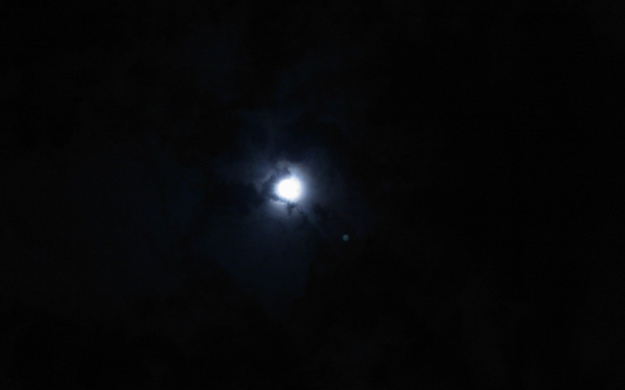 DSC_0037.jpg