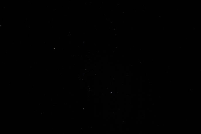 _DSC0305.jpg