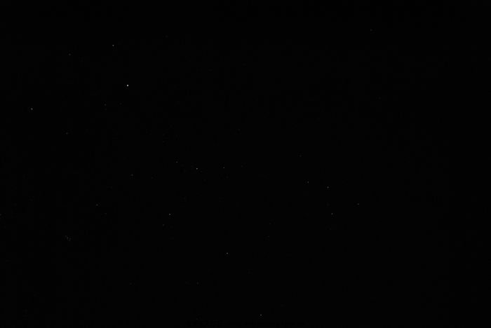 _DSC0306.jpg