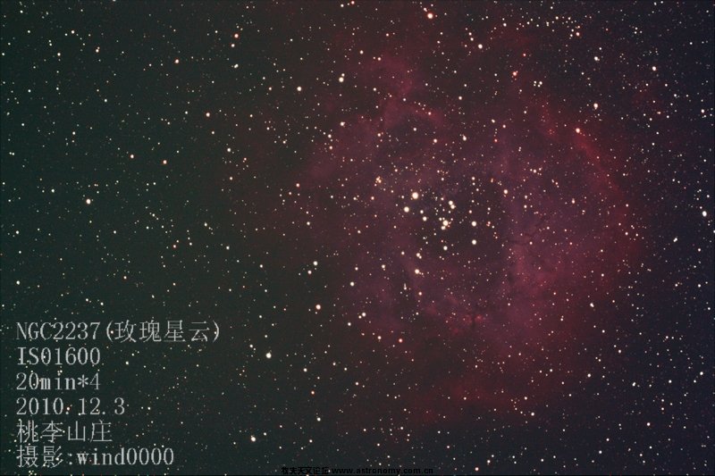 复件 rose20minute.jpg