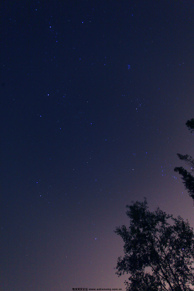 一直没逮到流星.jpg