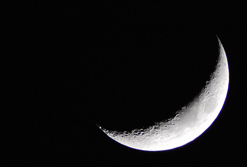 DSC_1901...jpg