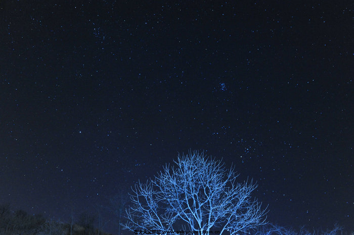 DSC_3262_1A.JPG