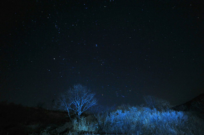 DSC_3310-1A.jpg