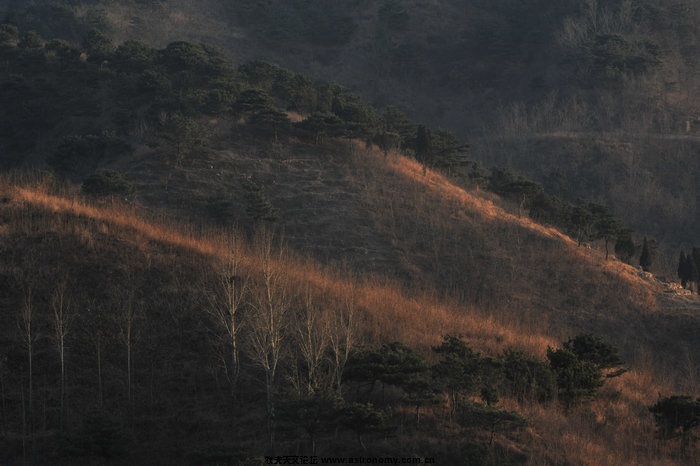 DSC_3228-1A.jpg