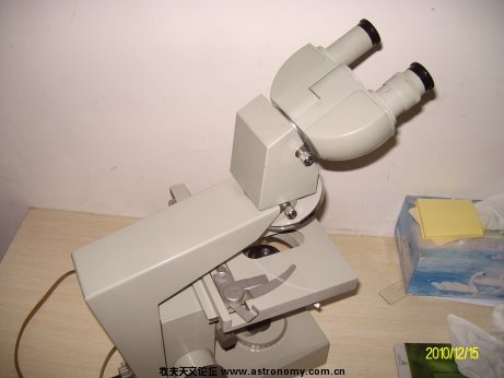 ALIM5937.jpg