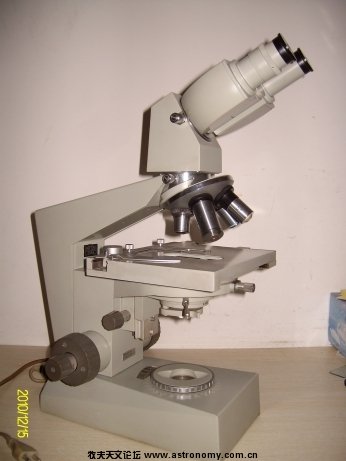 ALIM5941.jpg