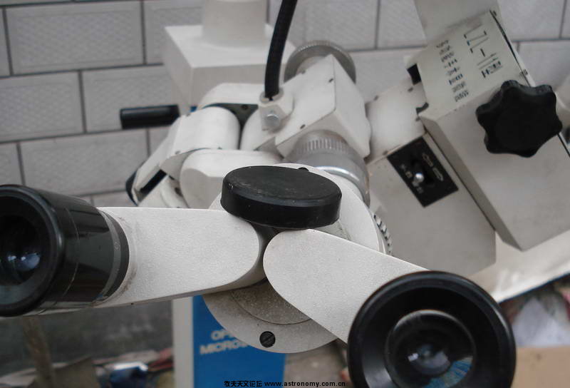 DSC05653_调整大小.JPG