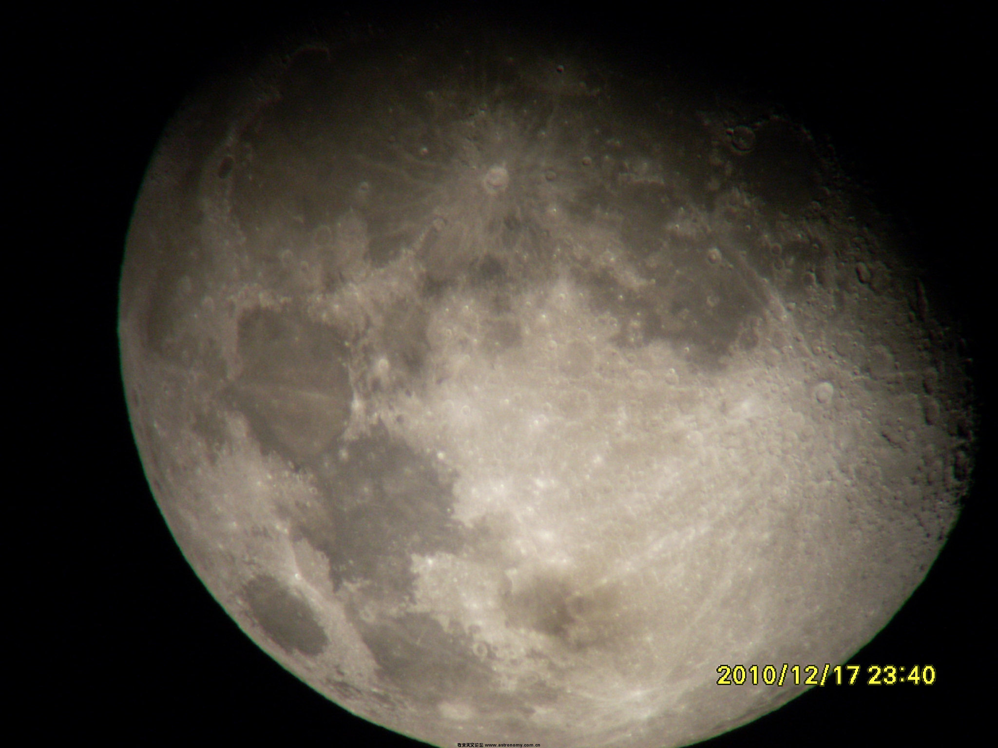 SL381339.JPG