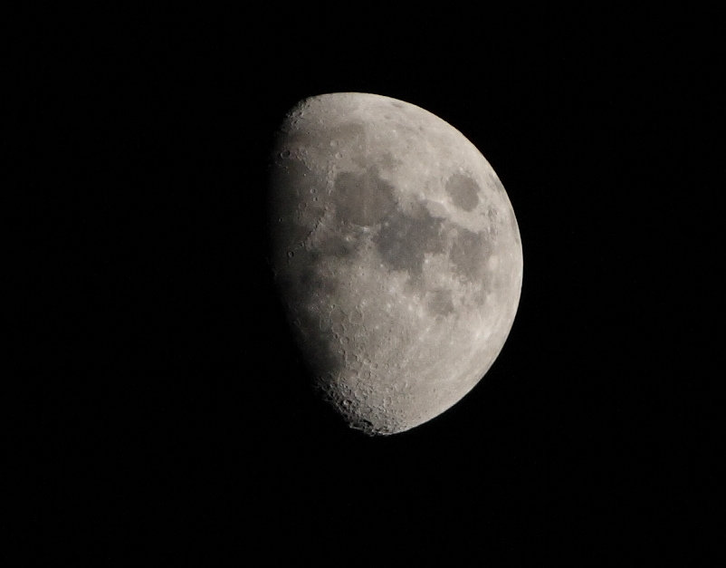 IMG_7467.jpg
