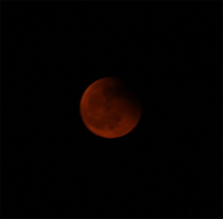 IMG_1474.jpg