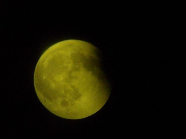SAM_0555.JPG