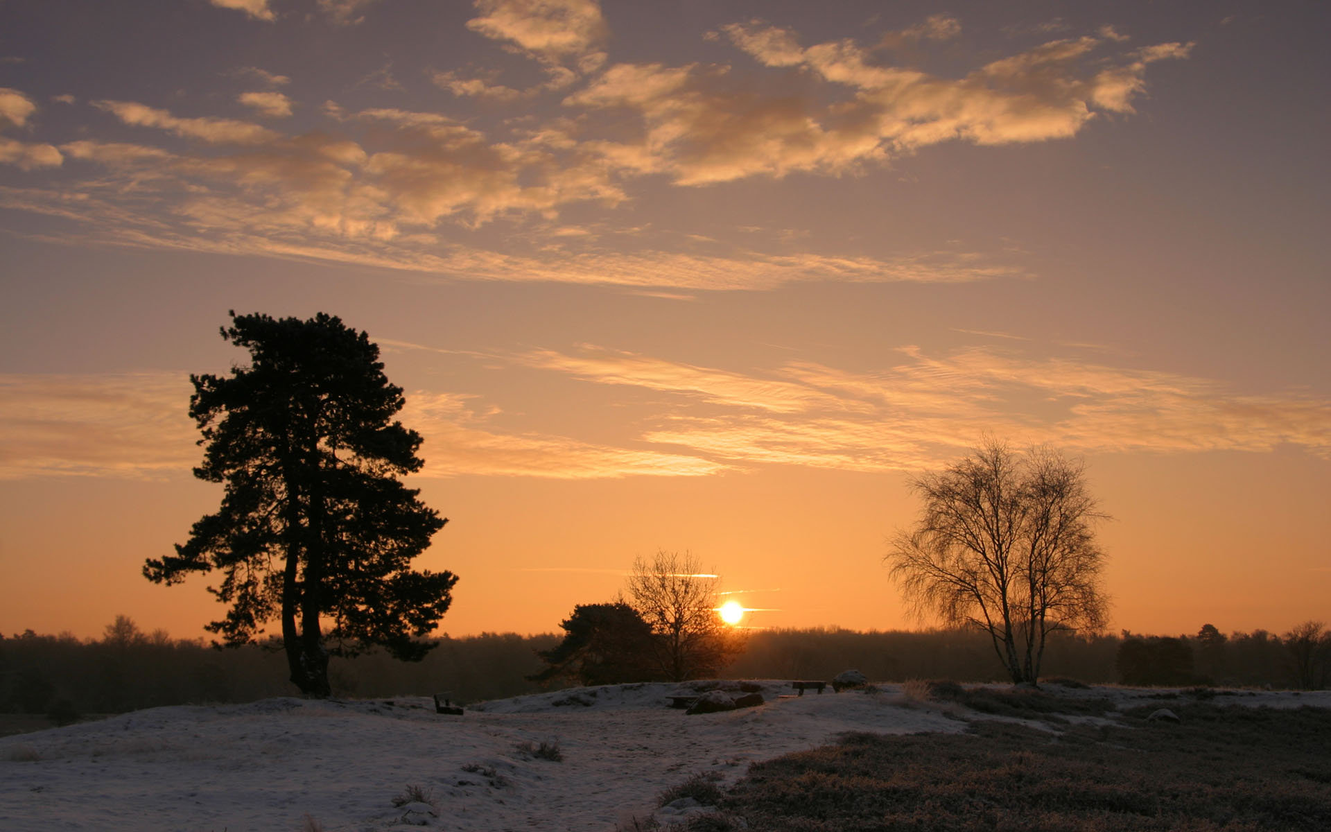 雪地夕阳.jpg