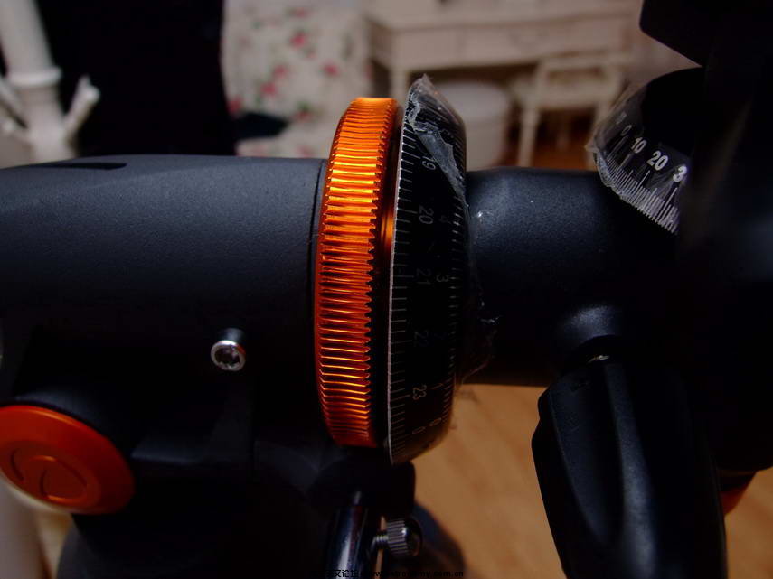 DSCF0223.jpg