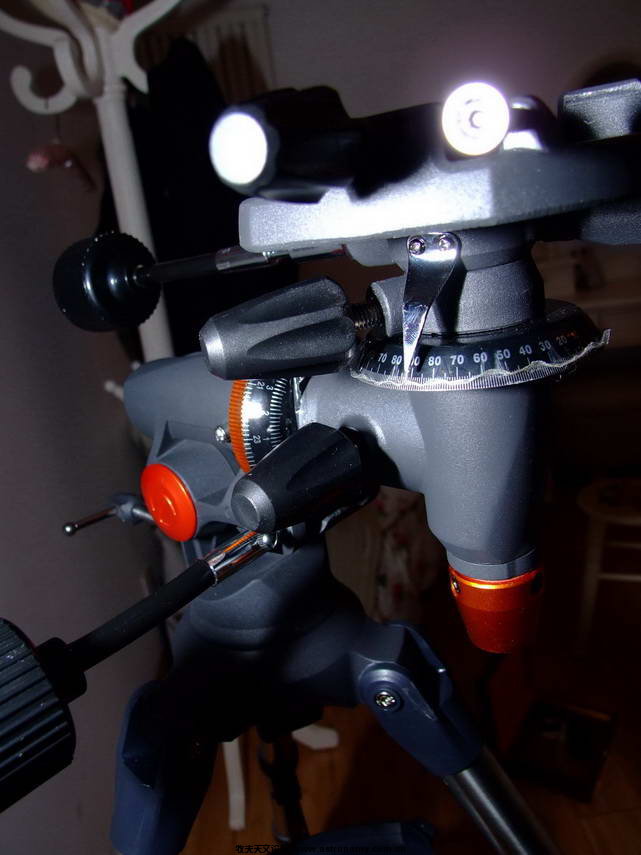 DSCF0236.jpg