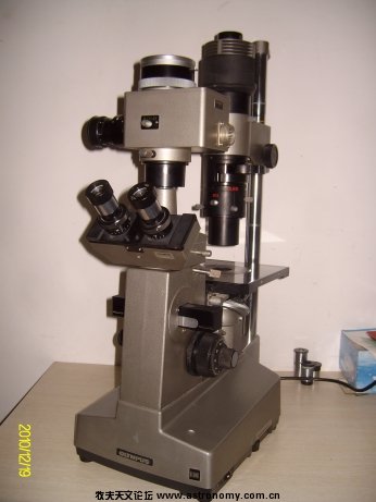 ALIM6154.jpg
