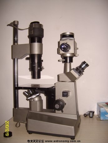 ALIM6156.jpg