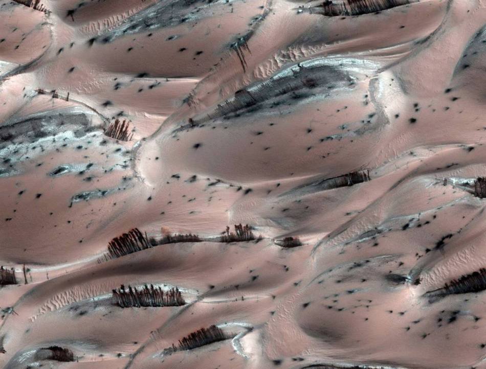 火星上的“树”.jpg