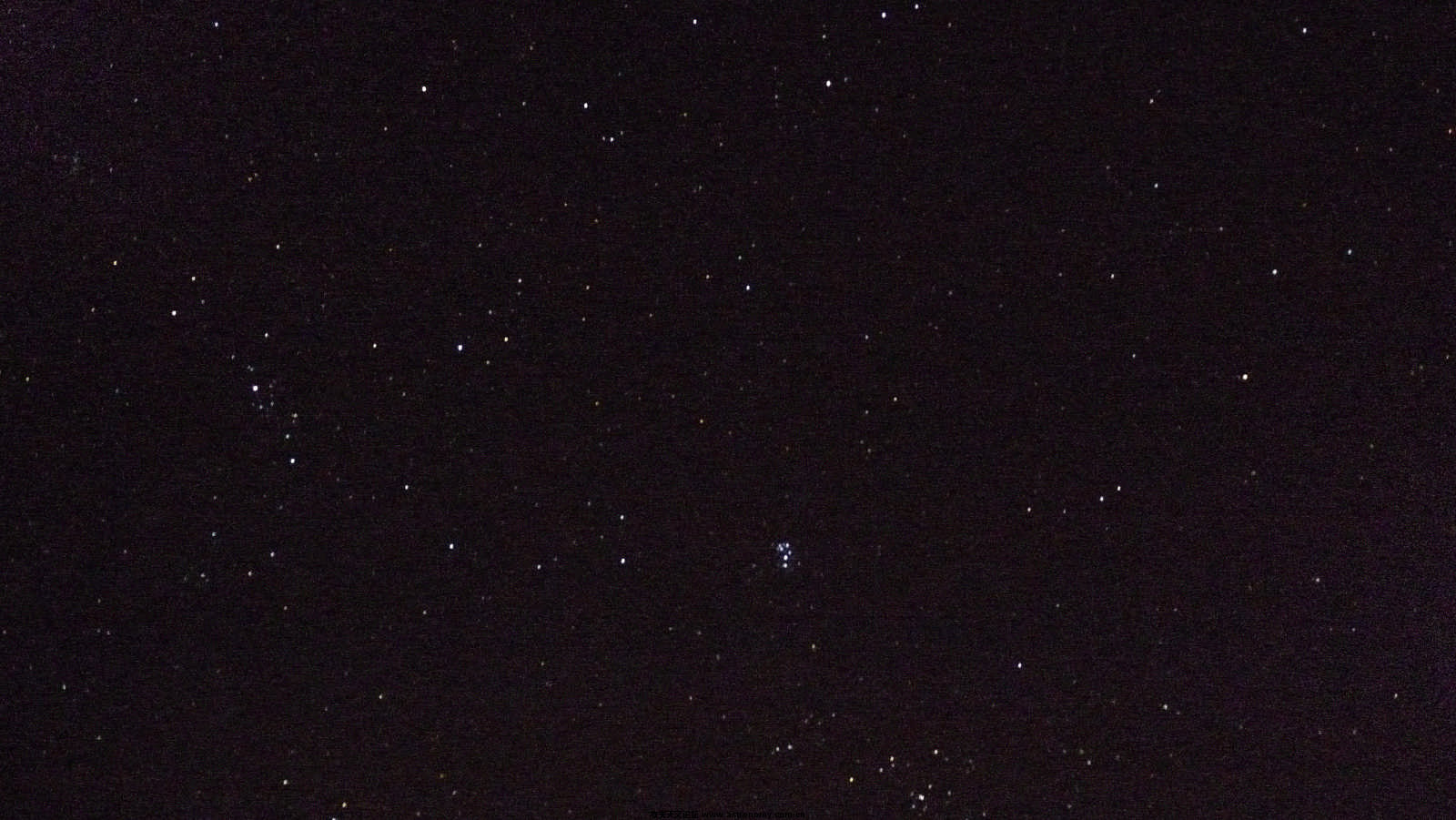 P1120332.jpg