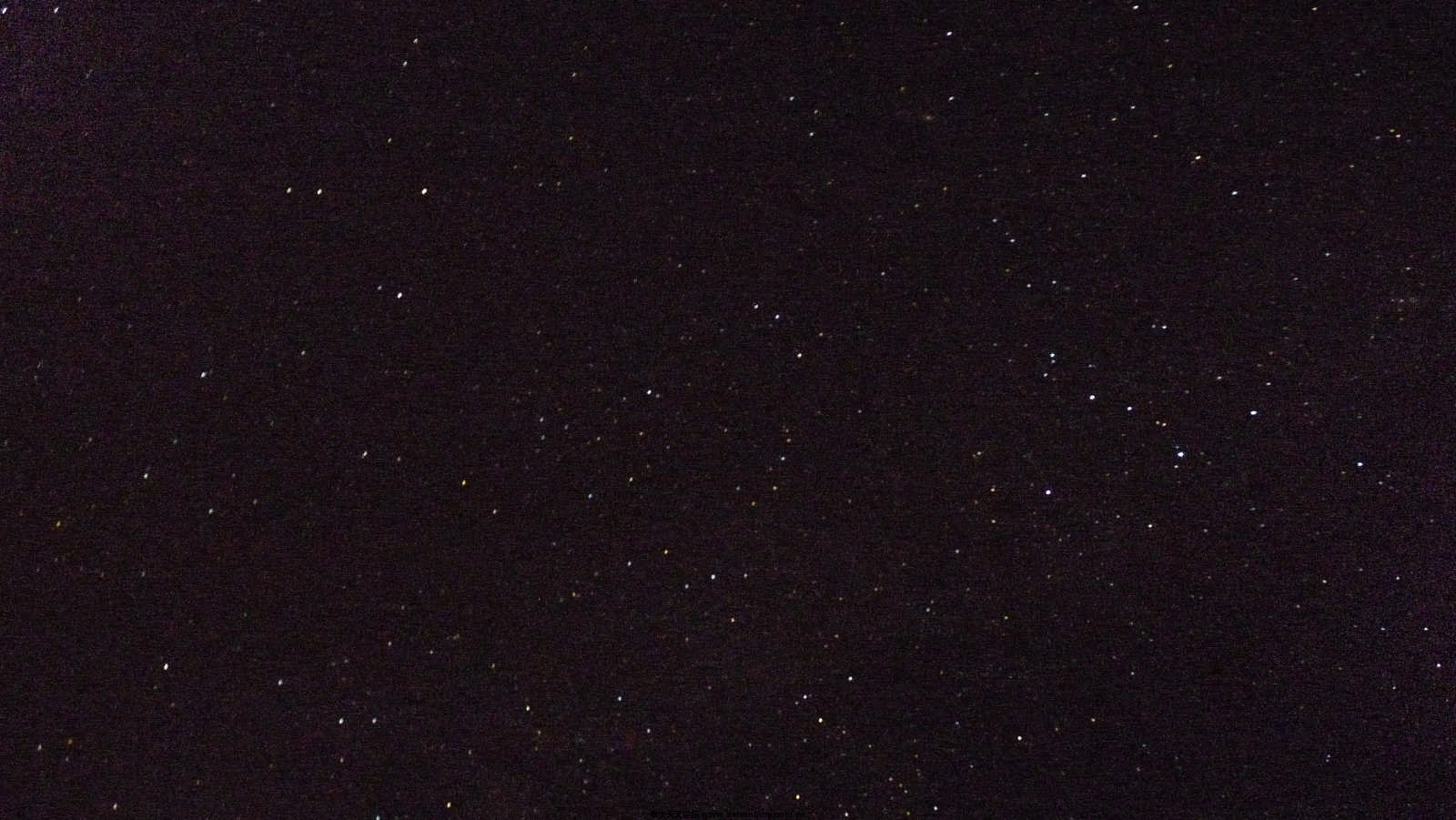 P1120333.jpg