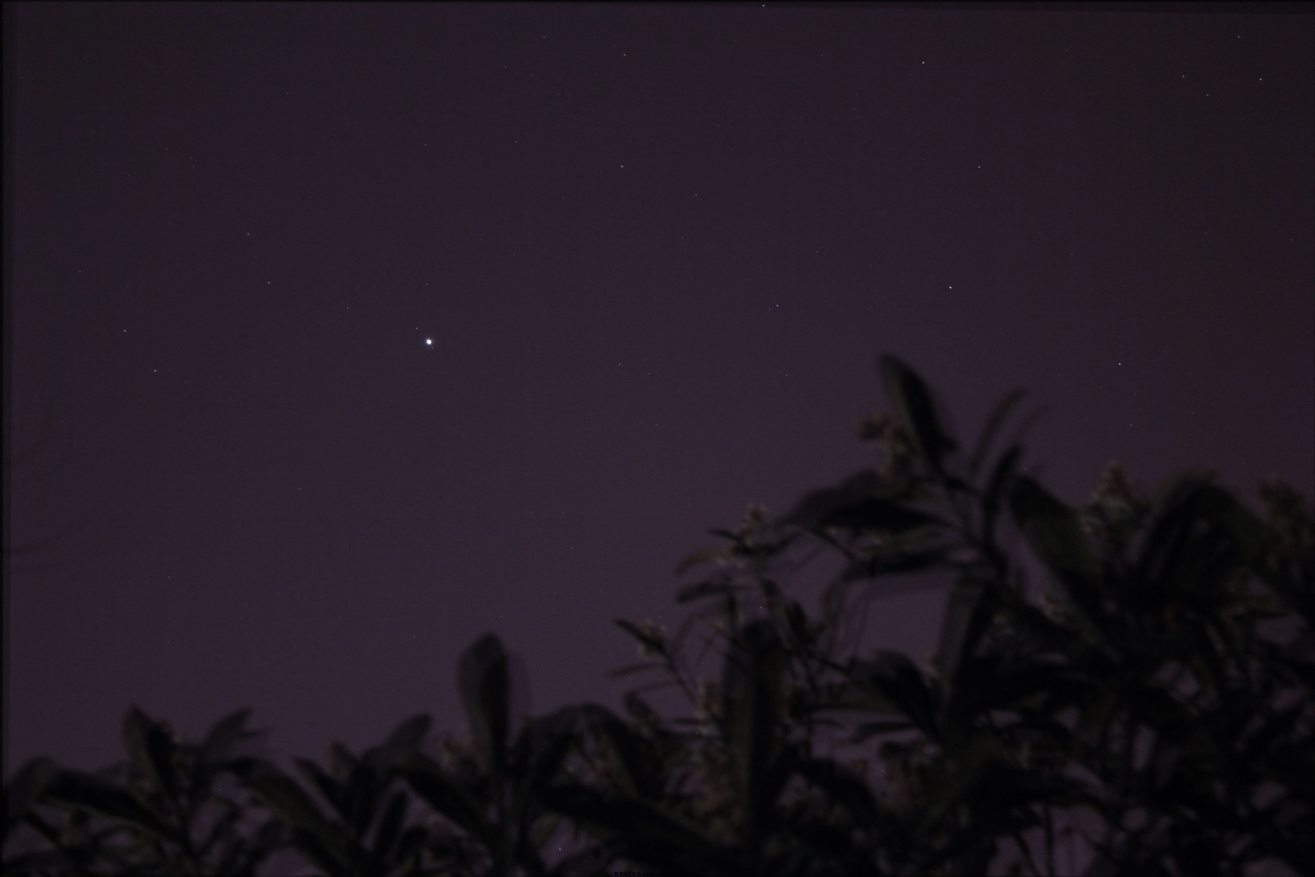 mu-1.jpg