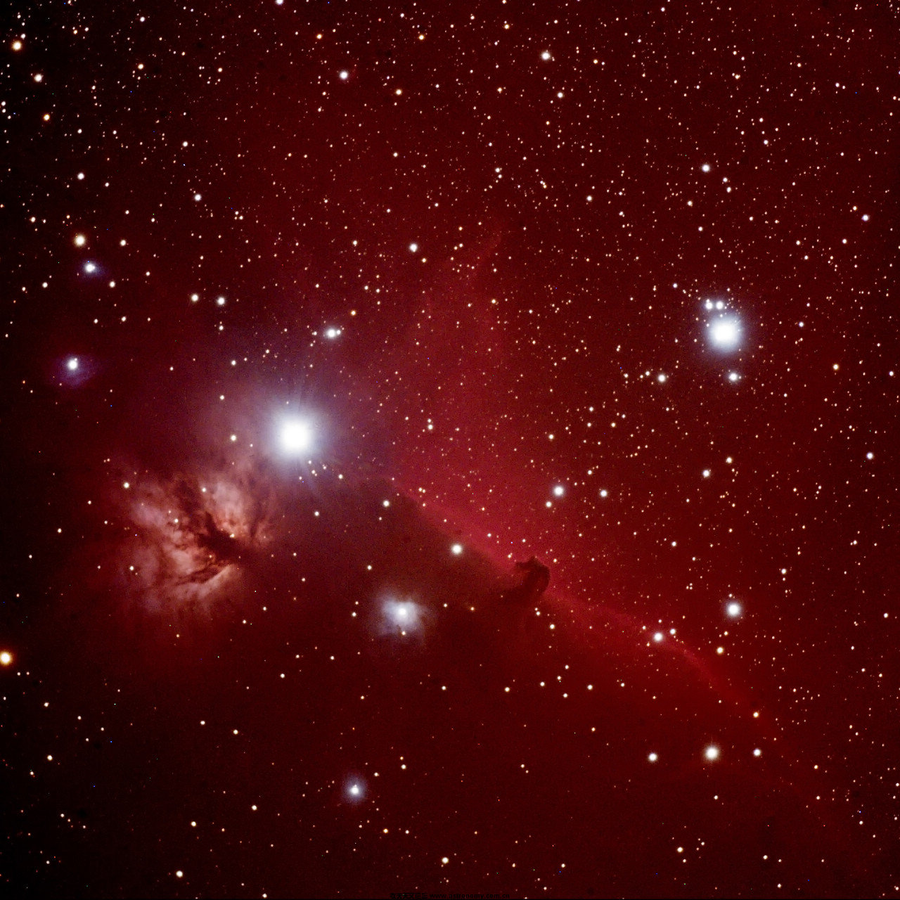 ic434-1-1200s-0-C0ok.jpg