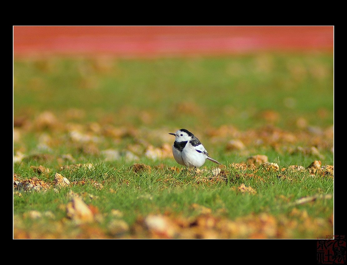 DSC_6885.jpg