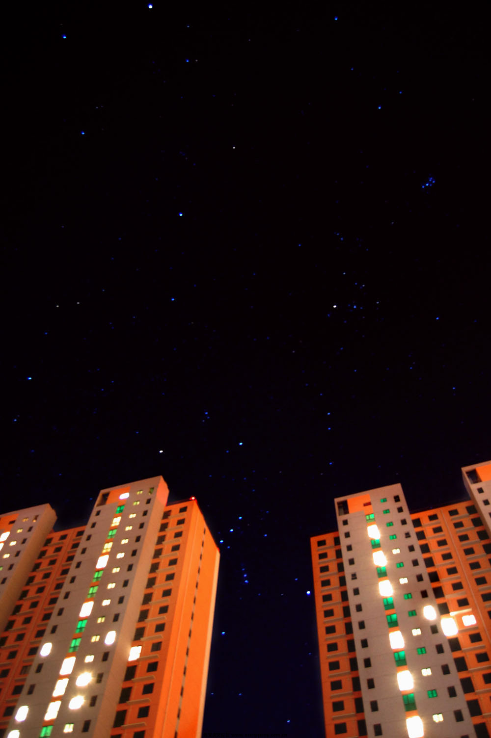 DSC_000222.jpg