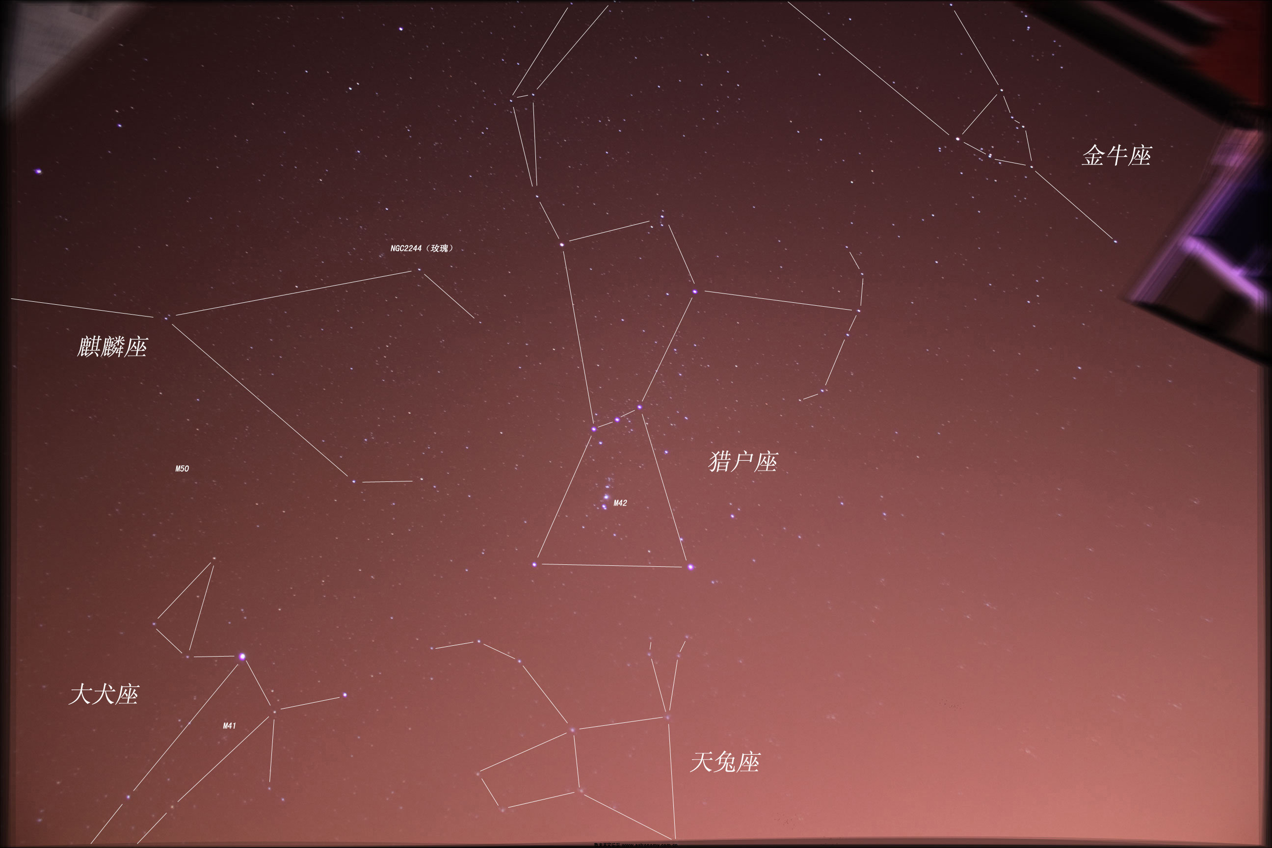 liehu1-3200 小莺.jpg