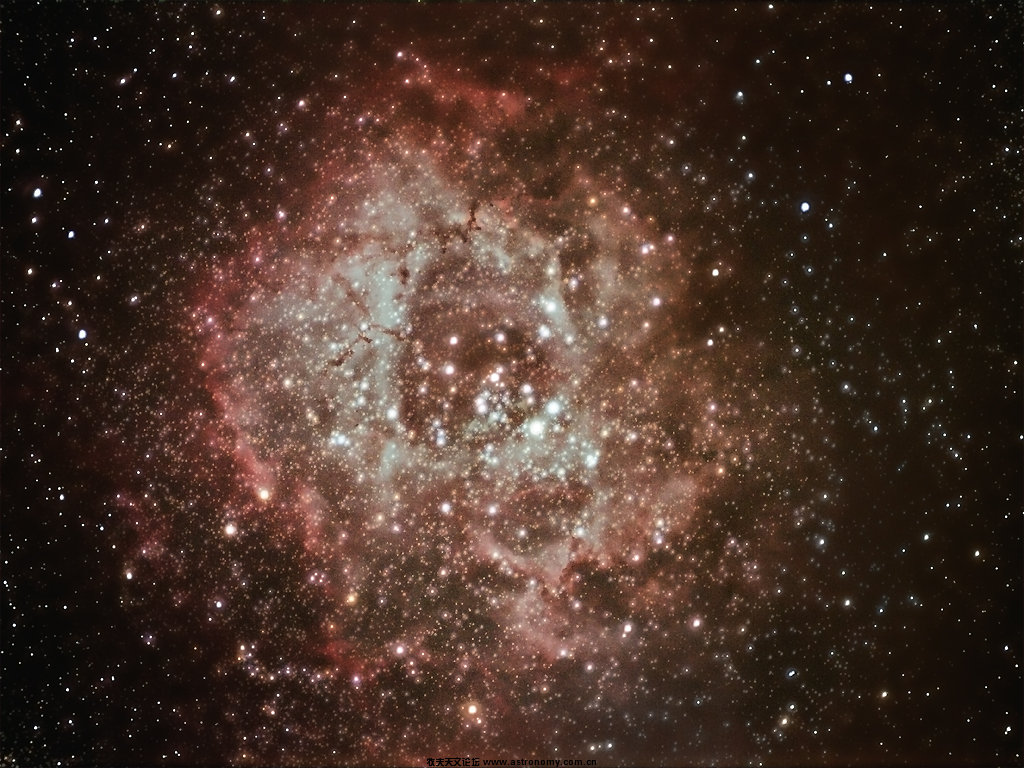 NGC2244_s.jpg