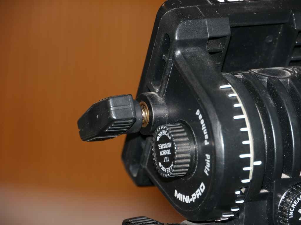 P1010512.JPG